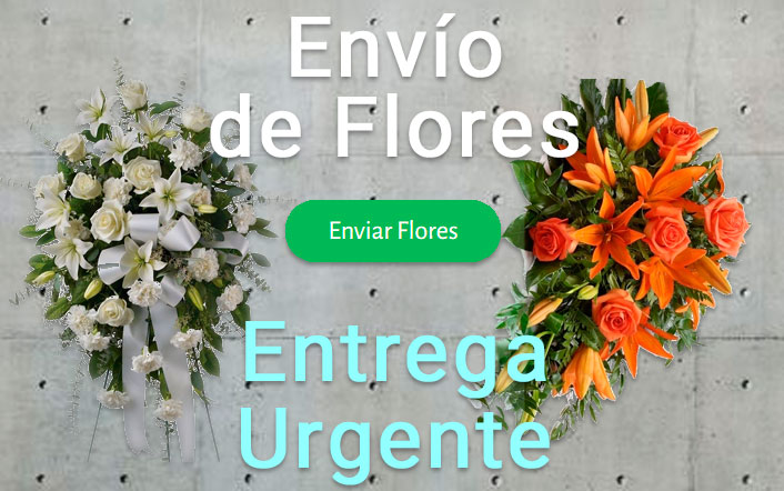 Envio flores difunto urgente a Tanatorio Santander